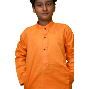 Boys Orange Punjabi