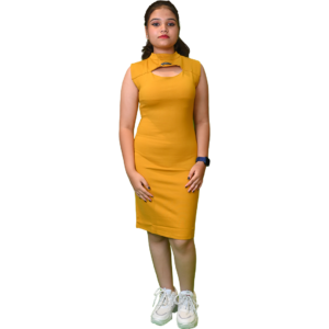 Women’s Stylish Bodycon Dress – Lycra Fabric