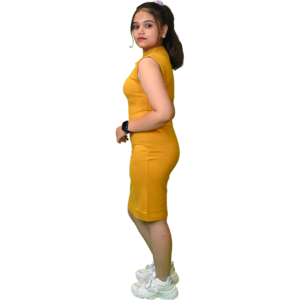 Women’s Stylish Bodycon Dress – Lycra Fabric