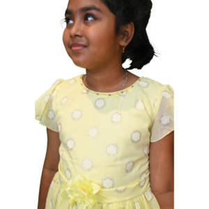 Girls Fancy Cotton Casual Frock with Full Body Chikankari Work