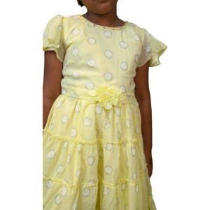 Girls Fancy Cotton Casual Frock with Full Body Chikankari Work